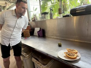 Person looking at a cacao pod sitting on a counter