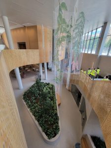 People in reflective vests walk down stairs past plants and hanging art.
